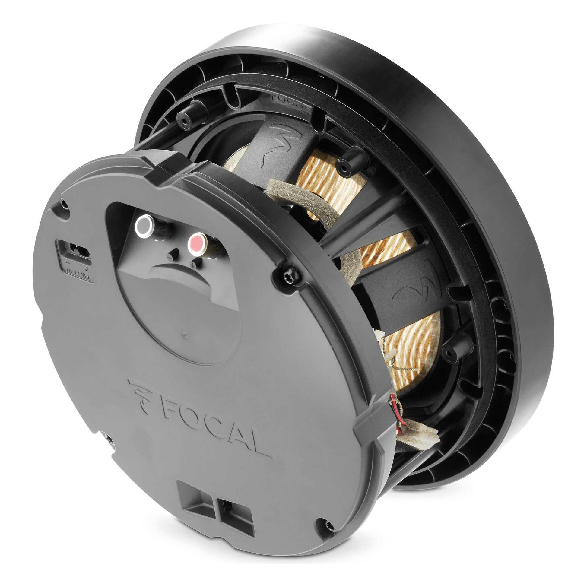 Focal 300 ICW8 Rear