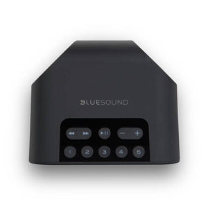 Bluesound Pulse Flex 2i