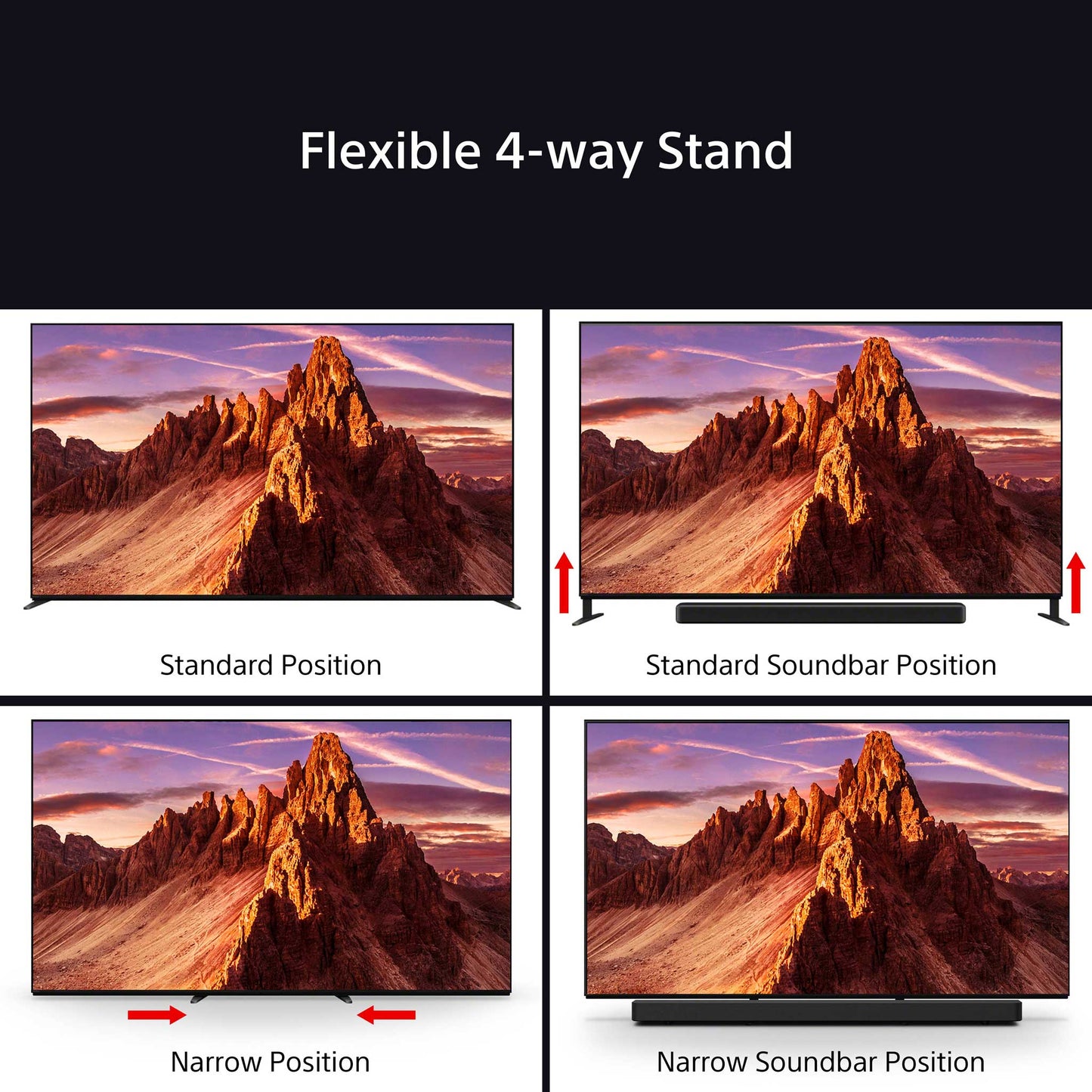 Sony BRAVIA 9 4-way Stand