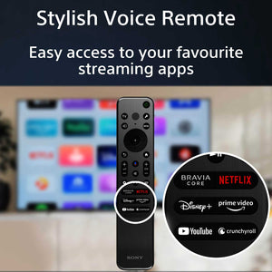 Sony BRAVIA X90L Smart Remote